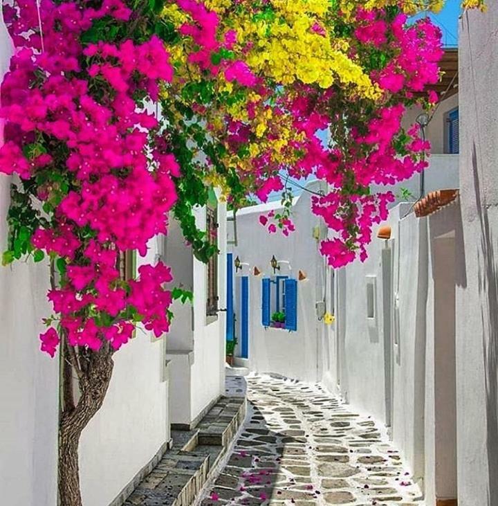 Melina'S House Mykonos Town Διαμέρισμα Εξωτερικό φωτογραφία